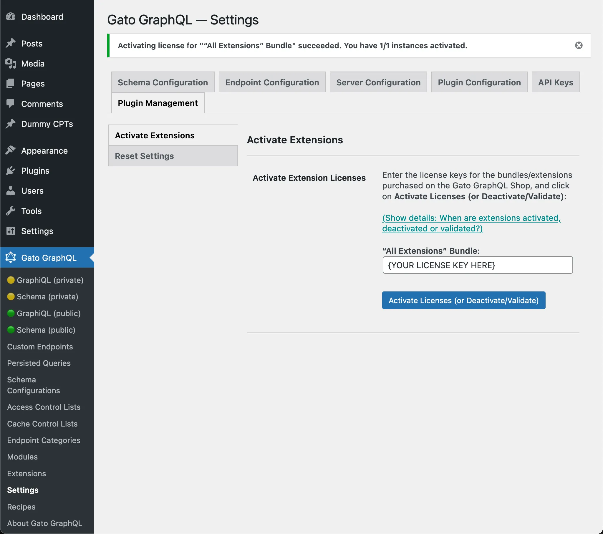 Plugin ativado