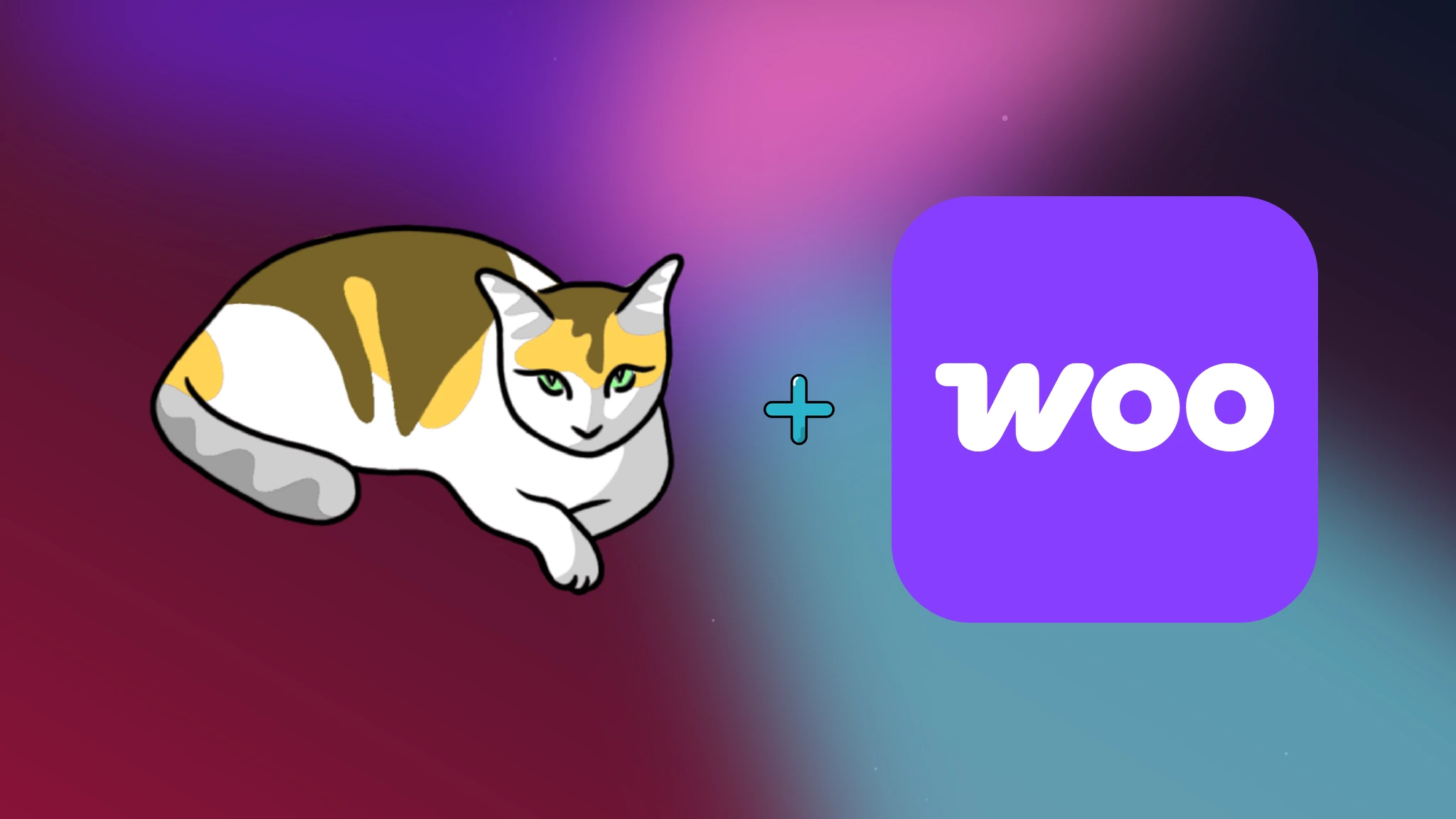 Extensão WooCommerce para Gato GraphQL