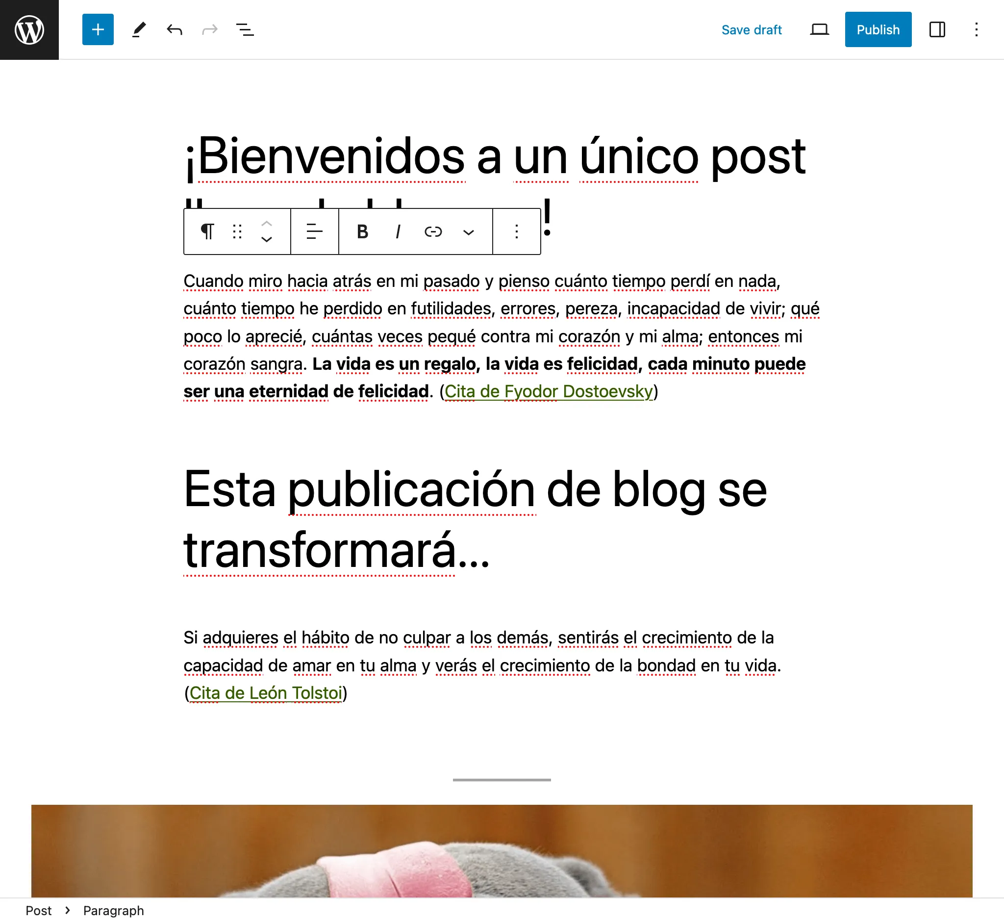 Corrigindo a tradução no editor do WordPress